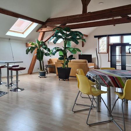 Grange Des Arts Villa Saint-Nabor Екстериор снимка