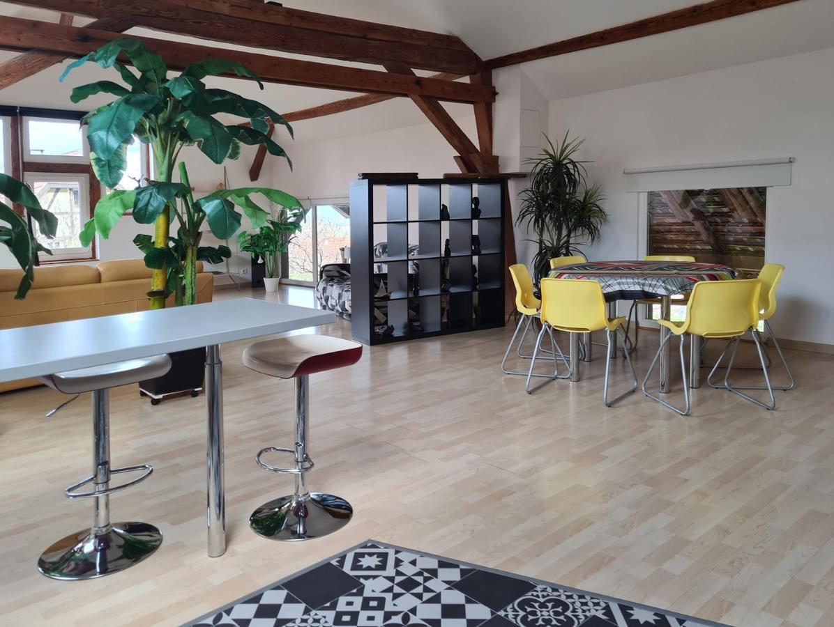 Grange Des Arts Villa Saint-Nabor Екстериор снимка