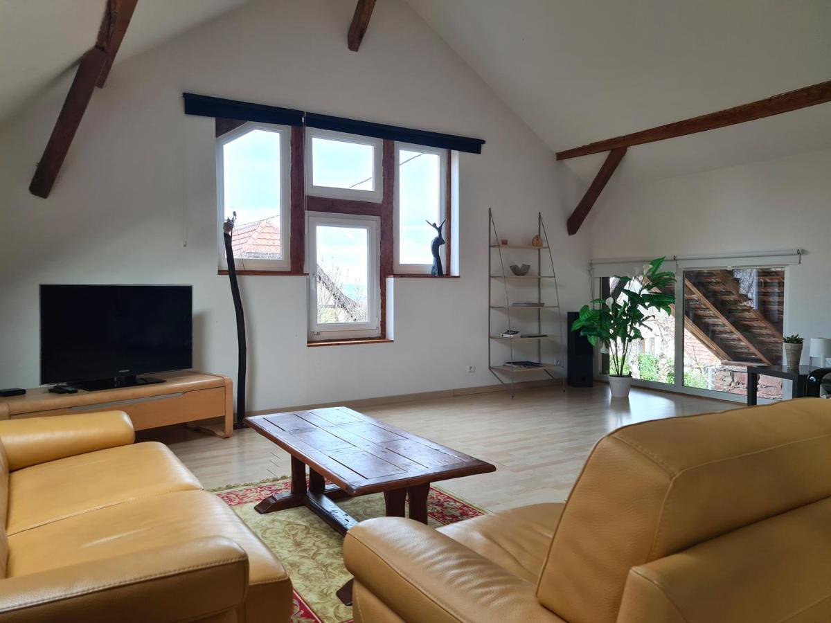 Grange Des Arts Villa Saint-Nabor Екстериор снимка