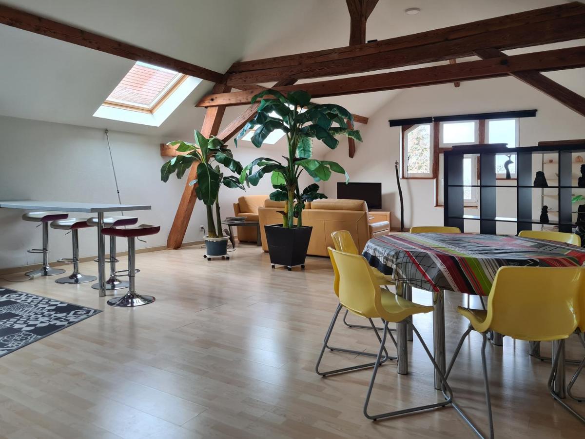 Grange Des Arts Villa Saint-Nabor Екстериор снимка