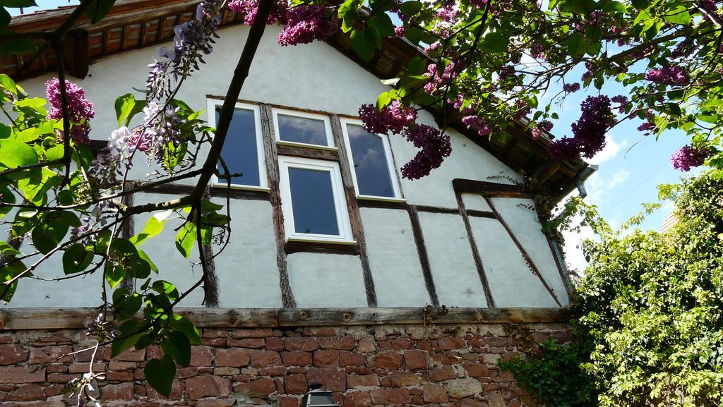Grange Des Arts Villa Saint-Nabor Екстериор снимка